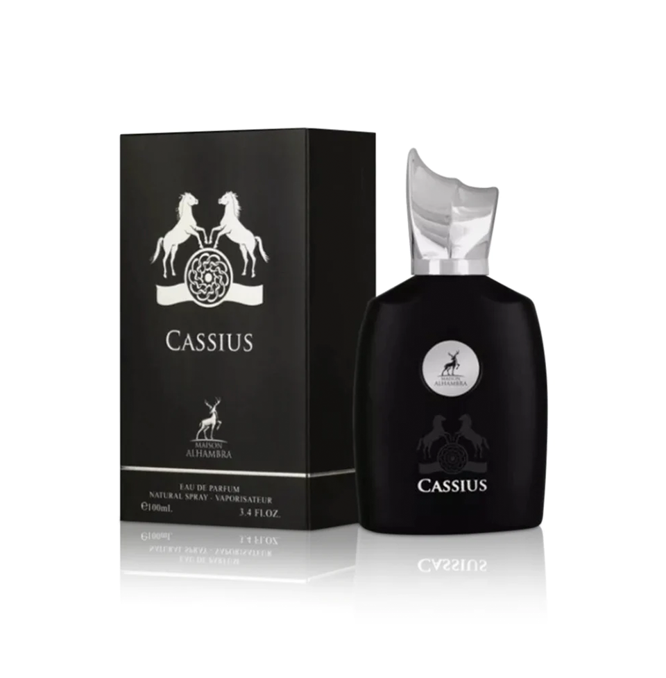 Black Cassius perfume bottle and packaging on a white background